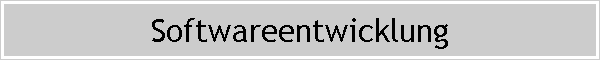Softwareentwicklung